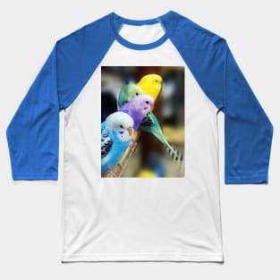 Parakeets Photo Baseball T-Shirt